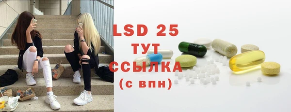 PSILOCYBIN Горно-Алтайск