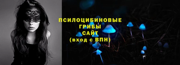 PSILOCYBIN Горно-Алтайск