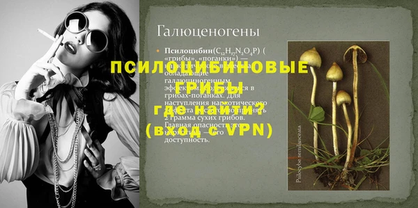 a pvp Горнозаводск