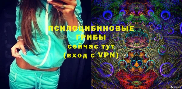 PSILOCYBIN Горно-Алтайск