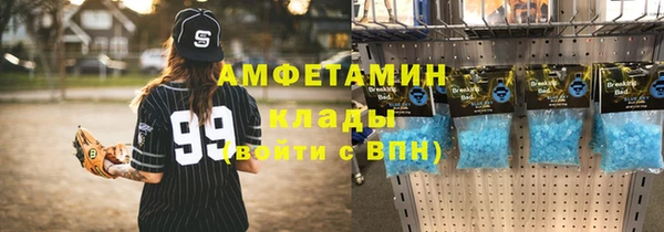 твердый Горняк