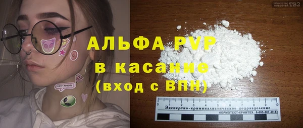 PSILOCYBIN Горно-Алтайск