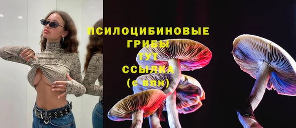 твердый Горняк