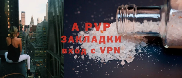 твердый Горняк