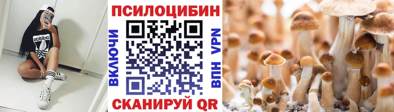 Купить  Верещагино  Псилоцибиновые грибы Psilocybine cubensis 